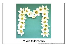 M-wie-Milchstern.pdf